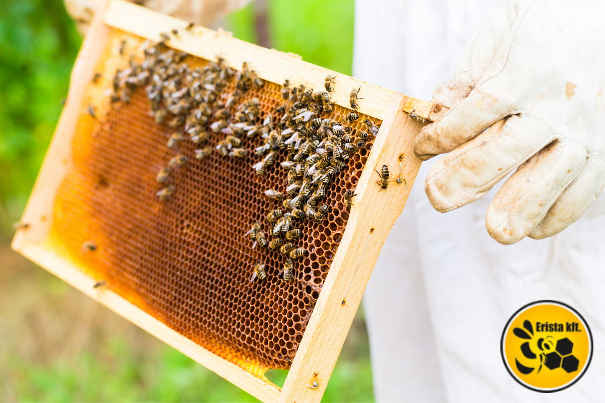 méhészruházat, méhészkesztyű