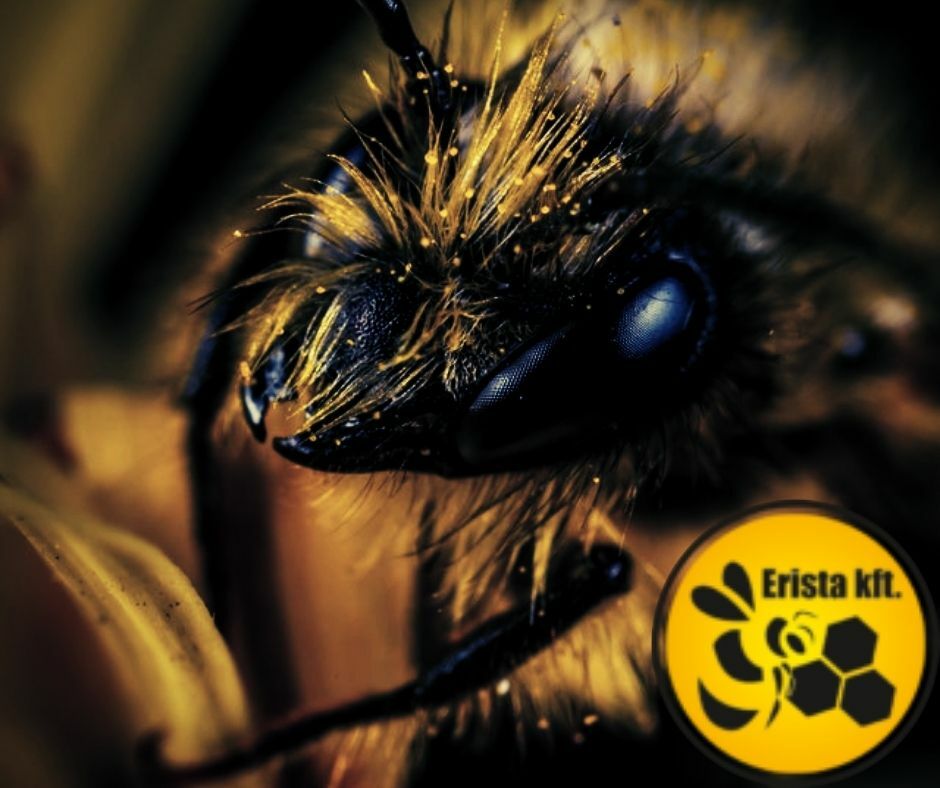 Erista méhészeti webáruház méhészeti takarmámyok